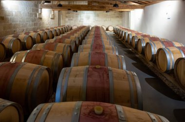 Fransız meşe fıçıları mahzende yıllanmış kırmızı şarap, Saint-Emilion şarap toplama, el sıralama ve ezme Merlot, Cabernet Sauvignon kırmızı şarap üzümleri, Fransa, Bordeaux