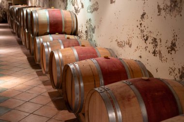 Yeraltı mahzeninde yıllanmış kırmızı şarap için Fransız meşe fıçıları, Saint-Emilion şarap toplama bölgesi, cru sınıfı Merlot veya Cabernet Sauvignon kırmızı şarap üzümleri, Fransa, harika Bordeaux şarapları.
