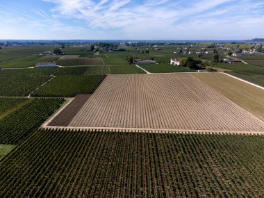 Pomerol köyünün hava manzarası, kırmızı Bordeaux şarabı üretimi, Merlot veya Cabernet Sauvignon kırmızı şarap üzümleri Pomerol, Saint-Emilion şarap üretim bölgesi, Fransa, Bordeaux