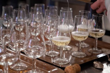 Aralık 'ta, Champagne Bulvarı, Epernay, Champagne Bölgesi, Fransa' da kış festivalinde pek çok küçük şampanya kadehi tadacak.