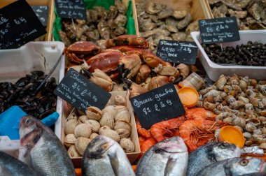 Fransa 'da balık pazarında buzda günlük taze karides, deniz kabuğu, yumuşakça çeşitleri, İngilizce çeviri: farklı Fransız deniz ürünleri isimleri