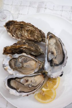 Canlı canlı taze Fransız, Hollanda, Pasifik ya da Japon istiridye yumuşakçaları, numara 1, taze limon ve çiğ deniz yiyeceği ile servis edilir.