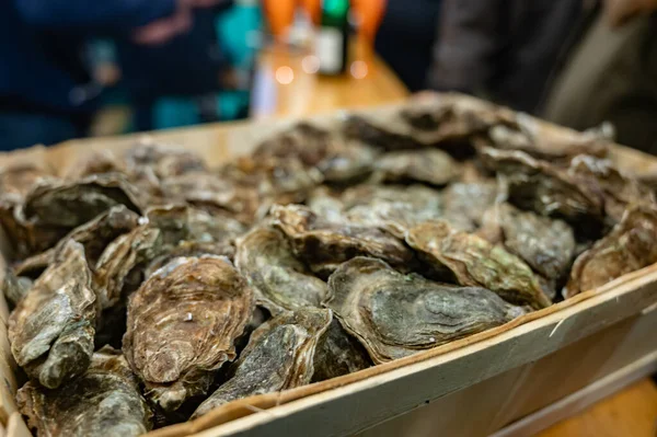 Günlük balık pazarında günün avı, taze istiridye, Cancale, Brittany, Atlantik Okyanusu, Fransa