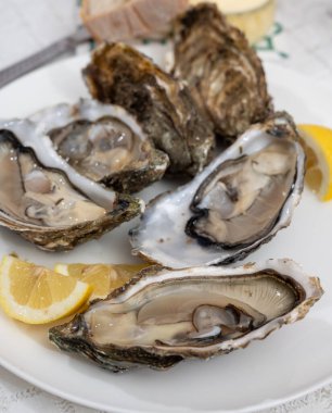 Canlı canlı taze Fransız, Hollanda, Pasifik ya da Japon istiridye yumuşakçaları, numara 1, taze limon ve çiğ deniz yiyeceği ile servis edilir.