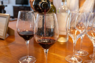 Şarap tatma yeri, Aziz Estephe köyü, Bordeaux 'daki Haut-Medoc üzüm bağları Gironde Estuary, Fransa' nın sol kıyısı, Bordeaux 'da şarap turu, seyahat yeri.