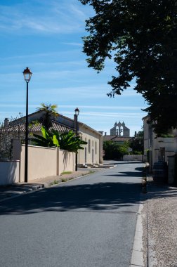 Saint-Emilion şarap üretim bölgesi yakınlarındaki şehir Lalande de Pomerol, Merlot veya Cabernet Sauvignon kırmızı şarap üzümleri, Fransa, Bordeaux yazın yetişir