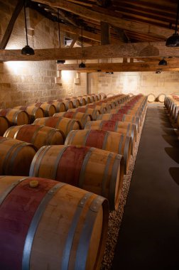 Fransız meşe fıçıları mahzende yıllanmış kırmızı şarap, Saint-Emilion şarap toplama, el sıralama ve ezme Merlot, Cabernet Sauvignon kırmızı şarap üzümleri, Fransa, Bordeaux