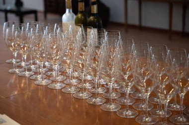 Şarap tatma yeri, Aziz Estephe köyü, Bordeaux 'daki Haut-Medoc üzüm bağları Gironde Estuary, Fransa' nın sol kıyısı, Bordeaux 'da şarap turu, seyahat yeri.