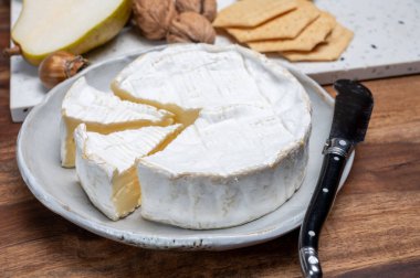 Fransız peyniri, orijinal Camembert de Normandie peyniri, beyaz küfle kaplayın.