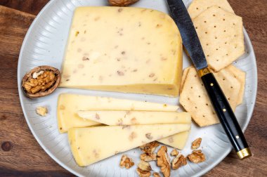 İnek sütünden yapılmış bir parça Hollanda Gouda peyniri. Kapalı ceviz, çiftlik peyniri tatma.