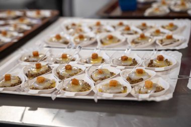 Fransız restoranlarının büyük aşçıları, kış festivali, Champagne Bulvarı, Epernay, Fransa