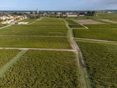 Fransa 'nın Bordeaux, Margaux şehrinde bulunan Gironde Estuary' nin sol kıyısında kırmızı üzümlü kırmızı şarap üreten Haut-Medoc üzümlü yeşil üzüm bağlarıyla hava manzarası.