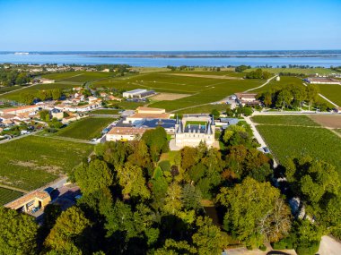 Yeşil üzüm bağları, Gironde nehri, Haut-Medoc kırmızı şarap üretim bölgesindeki şato, Bordeaux, Gironde Estuary 'nin sol kıyısı, Fransa