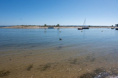 Güneşli bir günde Fransa 'nın Atlantik kıyı şeridi Bordeaux' nun güneybatısında Le Phare du Cap Ferret, Cap Ferret yarımadası yakınlarındaki birçok balıkçı teknesi ve istiridye çiftliğiyle Arcachon Körfezi 'ne bakın.