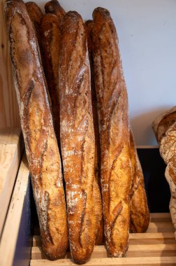 Bordeaux 'daki Fransız esnaf fırını, çavdar ve buğday ekmeği ve baget, Fransa, Fransız yemeği.