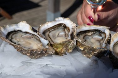 Güneşli bir günde Fransa 'nın Bordeaux şehrinde Arcachon Körfezi, Kaptan Ferret yarımadasının tekne ve sularını gören istiridye ve beyaz şaraplı taze canlı istiridye yemek.