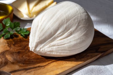 Taze gazlı bembeyaz keçi ineği koyun sütü peyniri, genç İspanyol peyniri