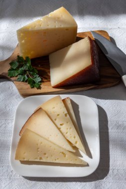 İspanyol sert manchegosu, inek, koyun ve keçi peyniri Yaklaş