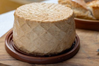 Peynir koleksiyonu, taze tütsülenmiş İspanyol keçi peyniri.