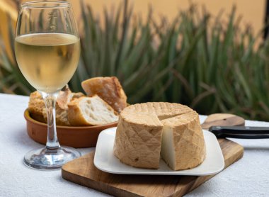 Peynir koleksiyonu, taze tütsülenmiş İspanyol keçi peyniri.