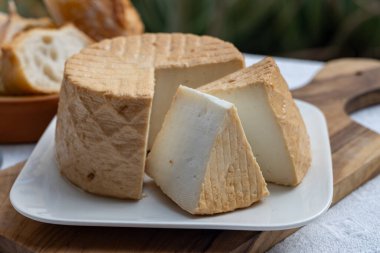 Peynir koleksiyonu, taze tütsülenmiş İspanyol keçi peyniri.