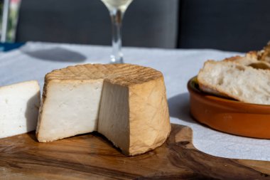 Peynir koleksiyonu, taze tütsülenmiş İspanyol keçi peyniri.