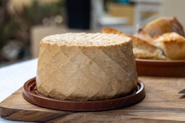 Peynir koleksiyonu, taze tütsülenmiş İspanyol keçi peyniri.