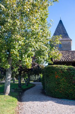 Barsac köyündeki Sauternes üzüm bağlarındaki şarap alanının manzarası Botrytis cinerea Noble çürümesinden etkilenmiş, Fransa Bordeaux 'daki tatlı Sauternes şaraplarından yapılmış