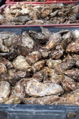 Taze Fransız Gillardeau istiridyeleri ahşap kutuda yenmeye hazır.