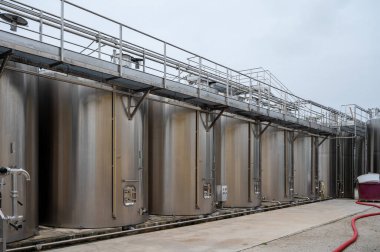 Damıtımevinde çalışıyor. Konyak beyaz şarap bölgesinde hasat zamanı, Charente, Ugni Blanc üzümlerinin fermantasyonu için çelik tanklar güçlü konyak damıtıcıları, Grand Champagne, France