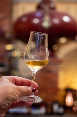 Eski koyu Fransız meşe fıçılarında yıllanmış konyak tadı içki imalathanesinde, konyak beyaz şarap bölgesinde Charente, Segonzac, Grand Champagne, Fransa