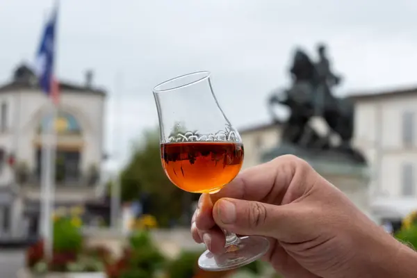 Dégustation Boissons Alcoolisées Cognac Vieilli Barriques Vue Sur Les Vieilles Photo De Stock