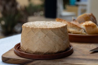 Peynir koleksiyonu, taze tütsülenmiş İspanyol keçi peyniri.