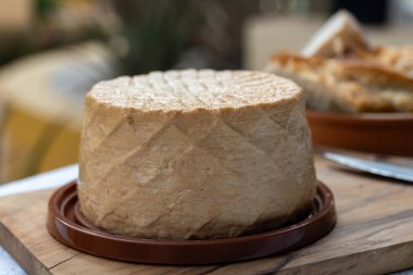 Peynir koleksiyonu, taze tütsülenmiş İspanyol keçi peyniri.