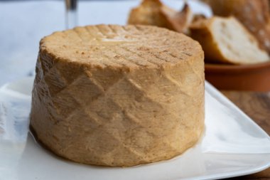 Peynir koleksiyonu, taze tütsülenmiş İspanyol keçi peyniri.