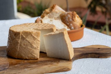 Peynir koleksiyonu, taze tütsülenmiş İspanyol keçi peyniri.