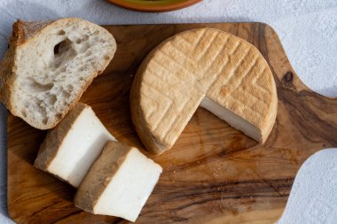 Peynir koleksiyonu, taze tütsülenmiş İspanyol keçi peyniri.