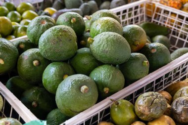 Fuerteventura, Kanarya Adaları 'ndaki çiftçi pazarında taze taze yeşil avokadolar, tropikal meyve ve sebzeler.