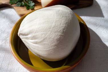 Taze soyulmuş beyaz keçi ineği koyun sütü peyniri, genç İspanyol peyniri, yakın plan.