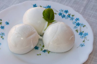 Peynir koleksiyonu, beyaz İtalyan peynirli mozzarella topları zeytin yağı ve taze fesleğen yapraklarıyla servis ediliyor.
