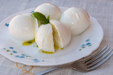 Peynir koleksiyonu, beyaz İtalyan peynirli mozzarella topları zeytin yağı ve taze fesleğen yapraklarıyla servis ediliyor.