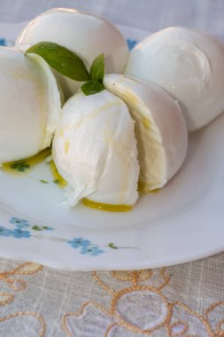 Peynir koleksiyonu, beyaz İtalyan peynirli mozzarella topları zeytin yağı ve taze fesleğen yapraklarıyla servis ediliyor.