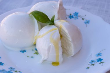 Peynir koleksiyonu, beyaz İtalyan peynirli mozzarella topları zeytin yağı ve taze fesleğen yapraklarıyla servis ediliyor.