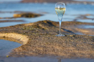 Bir bardak kava ya da şampanya köpüklü şarap, kış tatili, Dunes Corralejo kumsalında gelgit, Fuerteventura, Kanarya Adaları, İspanya