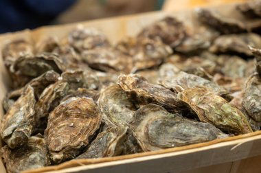 Günlük balık pazarında günün avı, taze istiridye, Cancale, Brittany, Atlantik Okyanusu, Fransa