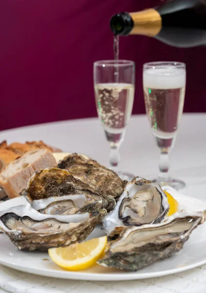 Fresh big french, dutch, pacific or japanese oysters molluscs, size number 1, served with champagne dry wine