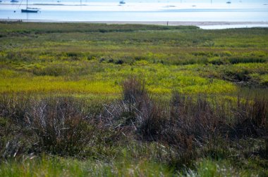 Fransa 'nın Atlantik kıyı şeridi boyunca Bordeaux' nun güneybatısında Fransa 'nın Cap Ferret yarımadasından birçok balıkçı teknesi ve istiridye çiftliğiyle Arcachon Körfezi' ne bakın.