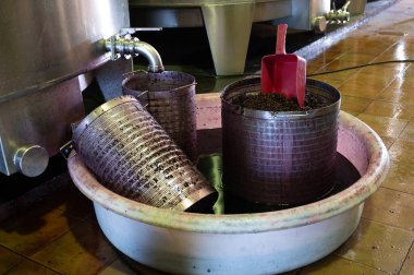 Bordeaux 'daki Haut-Medoc üzüm bağlarından, Fransa' nın Gironde Estuary bankasından toplanan kırmızı üzüm suyu, Cabernet Sauvignon üzüm çeşitleri.