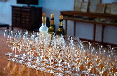 Şarap tatma yeri, Aziz Estephe köyü, Bordeaux 'daki Haut-Medoc üzüm bağları Gironde Estuary, Fransa' nın sol kıyısı, Bordeaux 'da şarap turu, seyahat yeri.