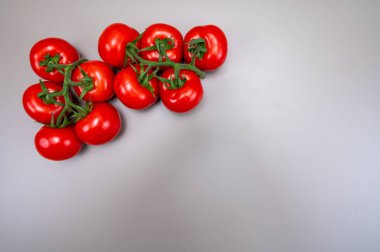 Her mevsim serada yetişen olgun Hollanda domatesleri Hollanda 'da gıda endüstrisi, fotokopi alanını kapatın.